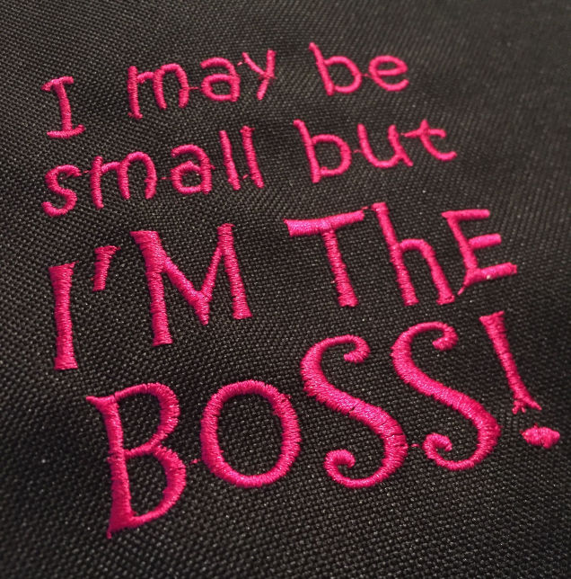 I'm The Boss I'M THE BOSS